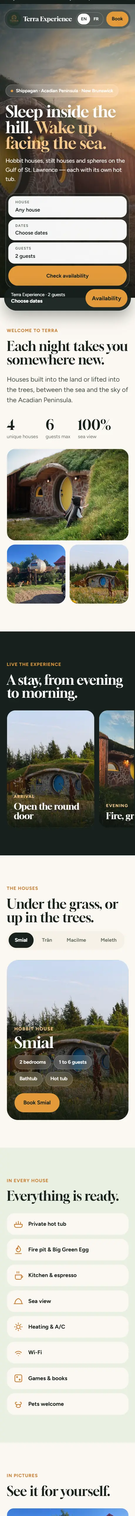 Terra Experience website on a phone